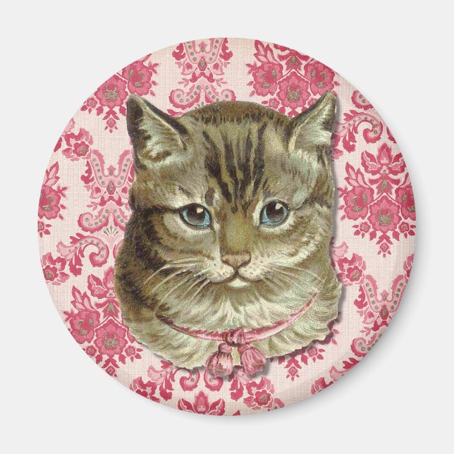 Tabby katt magnet (Framsidan)