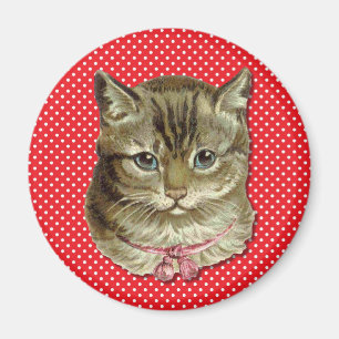 Tabby katt magnet