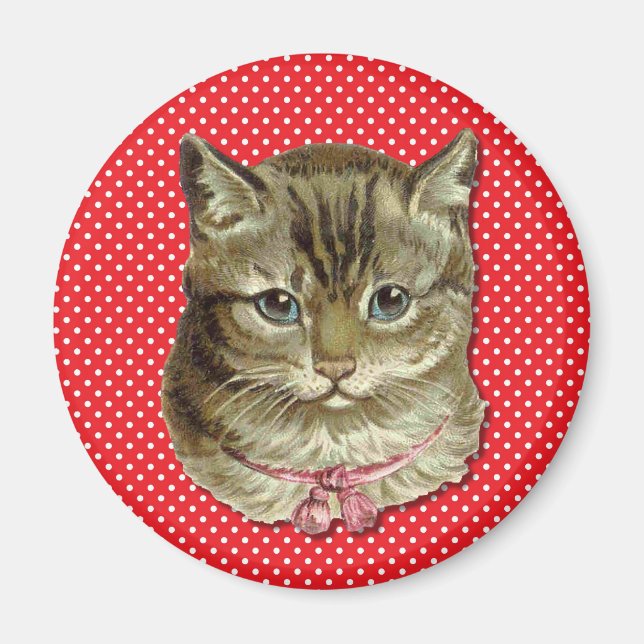 Tabby katt magnet (Framsidan)
