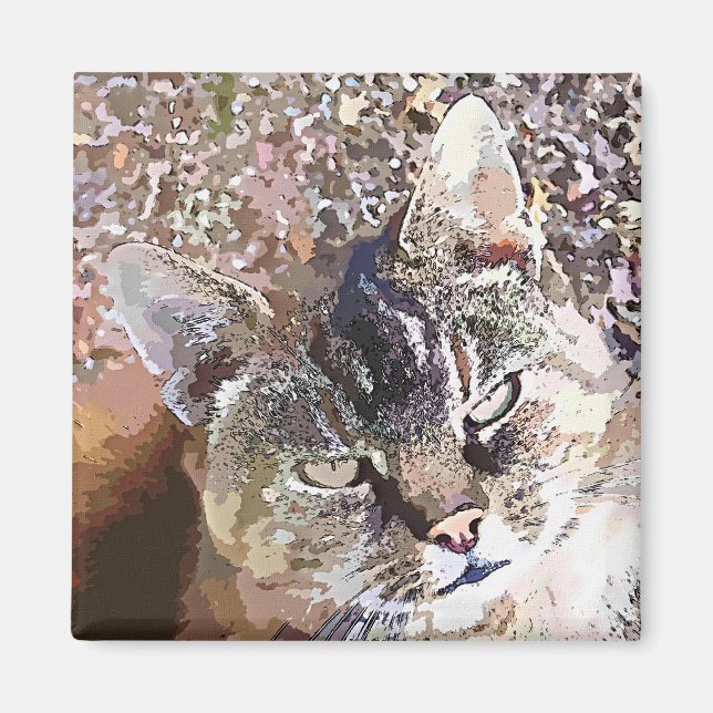 TABBY KATT MAGNET (Framsidan)