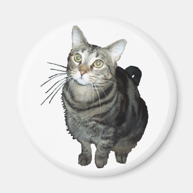 Tabby katt magnet (Framsidan)