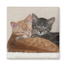 Tabby katt Magnet