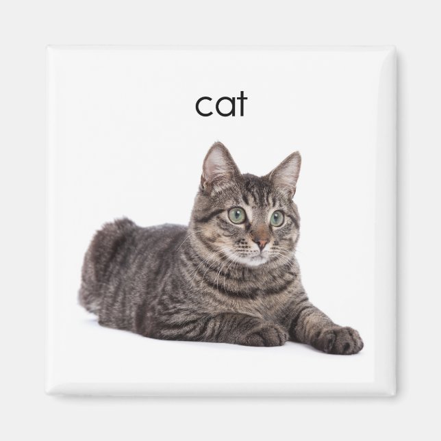 Tabby katt magnet (Framsidan)