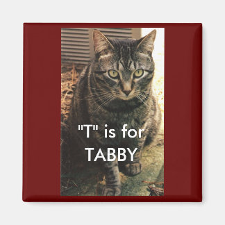 Tabby katt Magnet Maroon-bakgrund