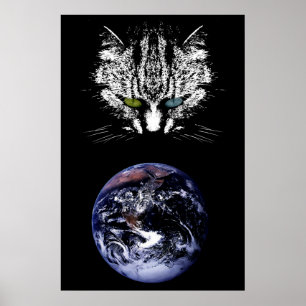 Tabby katt - Mästare för den universella Poster
