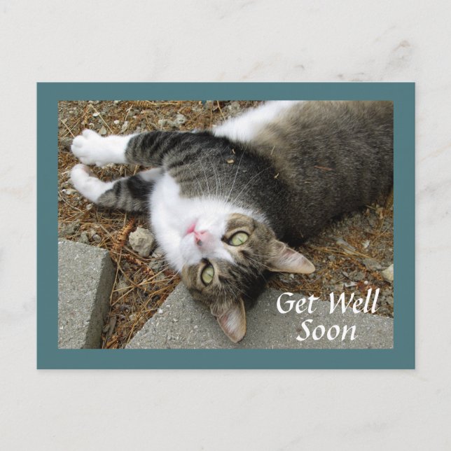 Tabby katt med Dreamy Öga Get well Postcard Vykort (Framsida)