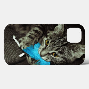 Tabby katt med Feather av Shirley Taylor