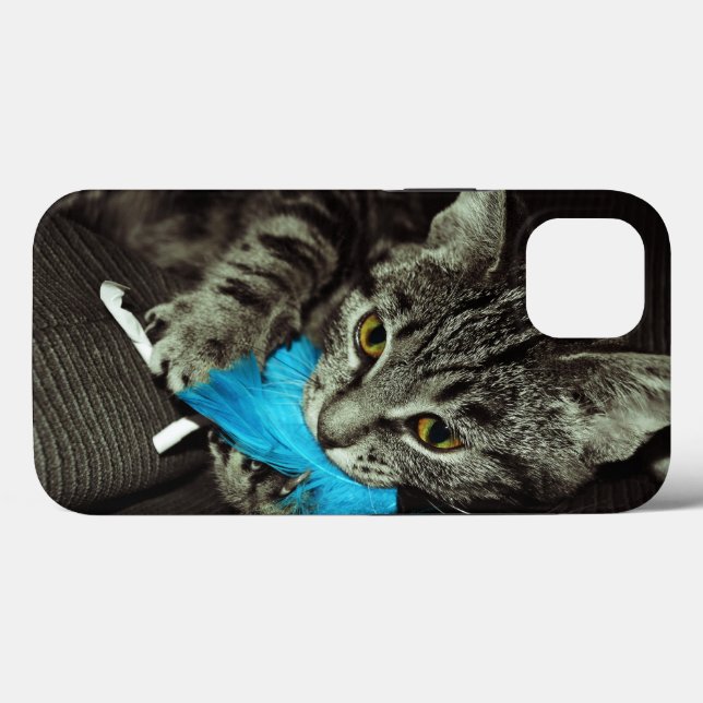 Tabby katt med Feather av Shirley Taylor (Baksida (horisontell))