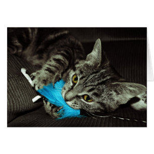 Tabby katt med Feather av Shirley Taylor Hälsningskort