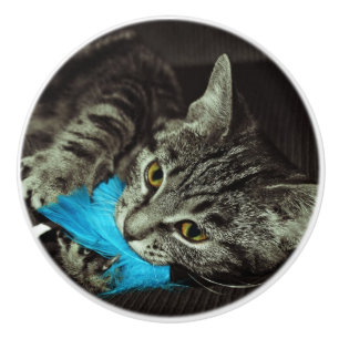 Tabby katt med Feather av Shirley Taylor Knopp