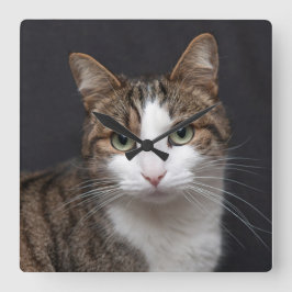 Tabby katt med Grönt Ögon mot Black Background Fyrkantig Klocka