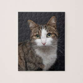 Tabby katt med Grönt Ögon mot Black Background Pussel