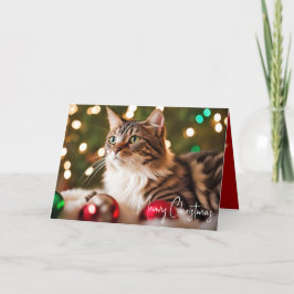 Tabby katt med julprydnader helgkort