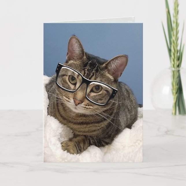tabby katt med öga glasögon kort (Framsida)