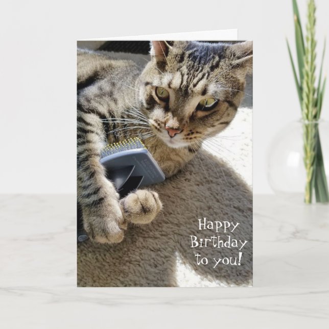 tabby katt med pensel kort (Framsida)