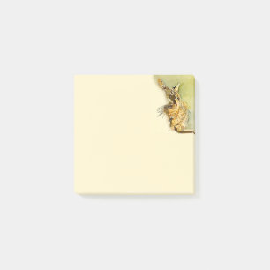 Tabby katt med rosa hjärtanäspenseldrag post-it block