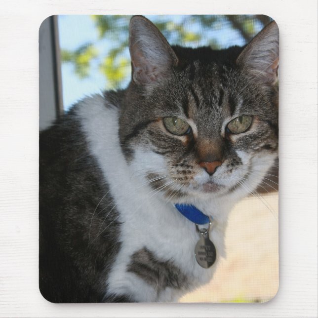 Tabby katt med Söt Ögon Mouse Pad Musmatta (Framsidan)
