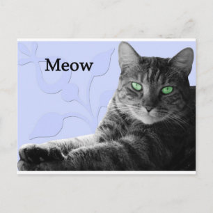 tabby katt Meow Vykort