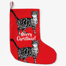 Tabby katt Merry Cats Red-julklapp Liten Julstrumpa