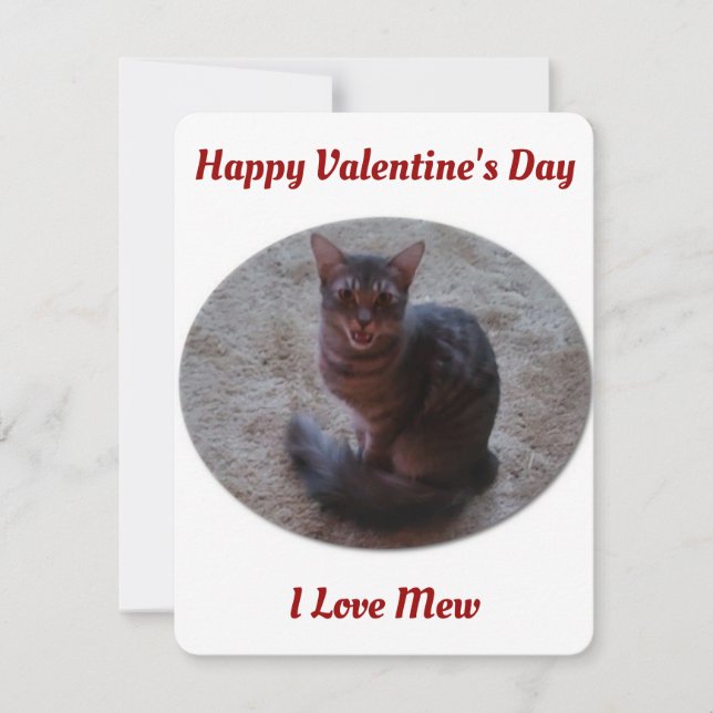 tabby katt Mewing Photo I Kärlek Mew Valentiness Julkort (Framsida)