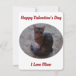 tabby katt Mewing Photo I Kärlek Mew Valentiness Julkort