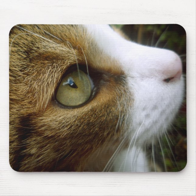 Tabby katt Mousepad Musmatta (Framsidan)