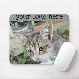 Tabby katt musmatta