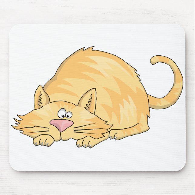 tabby katt musmatta (Framsidan)