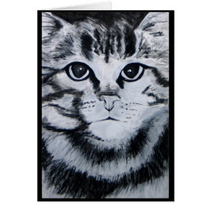 Tabby katt OBS kort