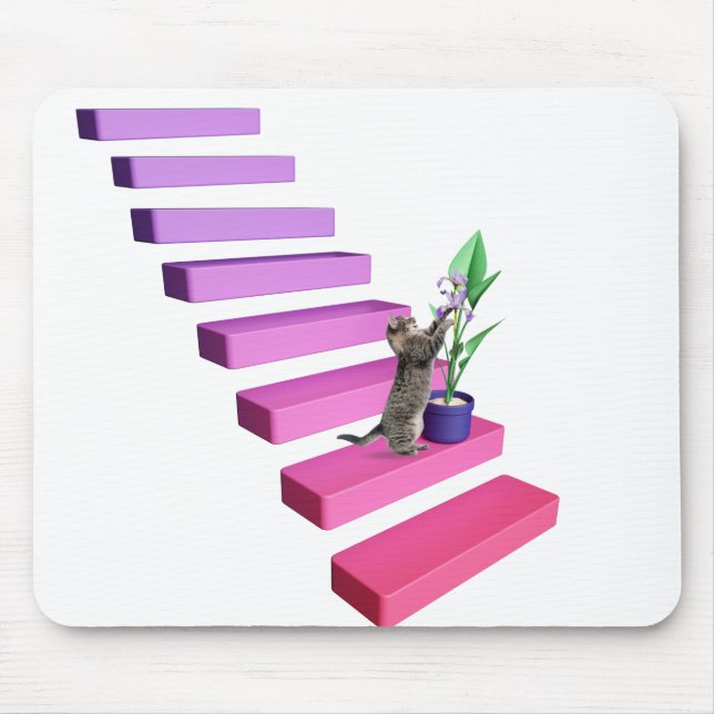 Tabby katt och anläggning på Trappor Musmatta (Framsidan)