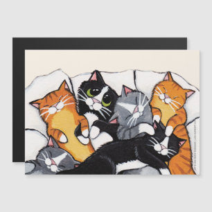 Tabby katt och Tuxedo Cat Sleepover
