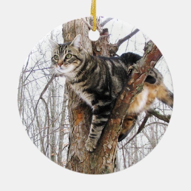 Tabby katt Ornament (Baksidan)