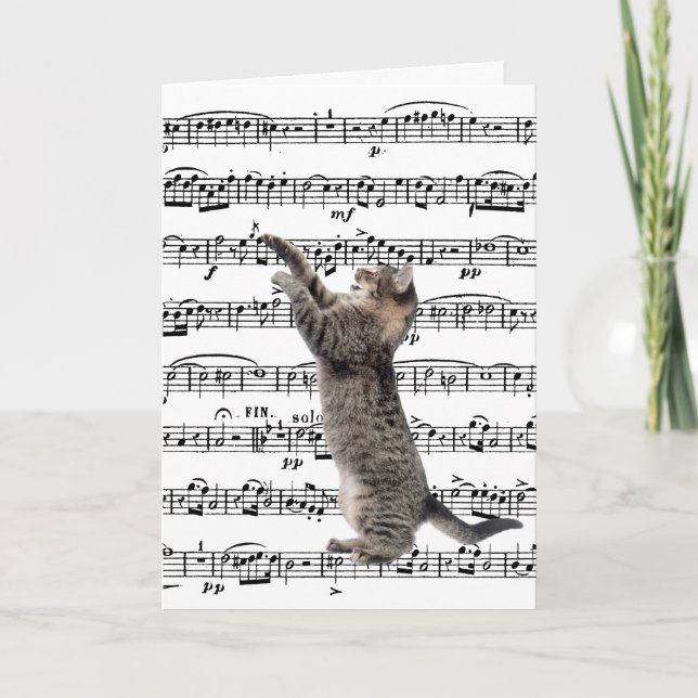 Tabby katt på musikfödelsedagen kort (Framsida)