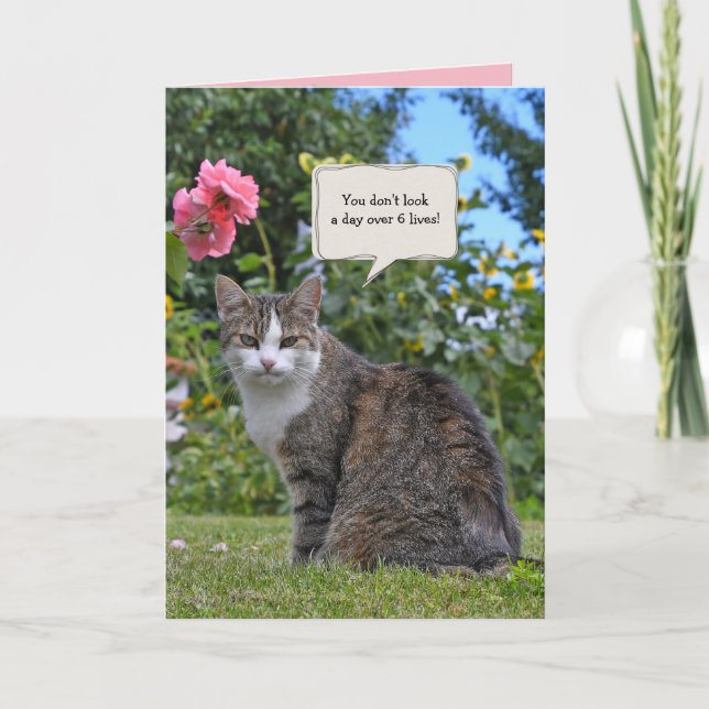 tabby katt på trädgårdsfödelsedag kort (Framsida)
