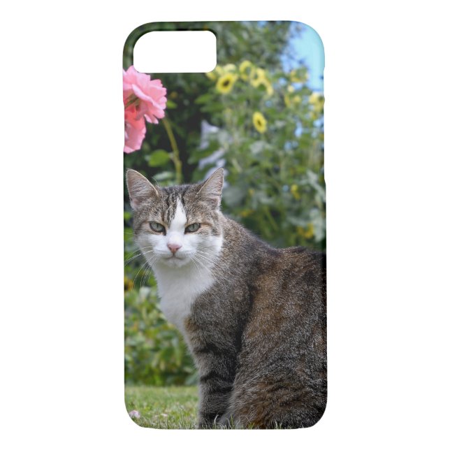 tabby katt på varvet Case-Mate iPhone skal (Baksida)