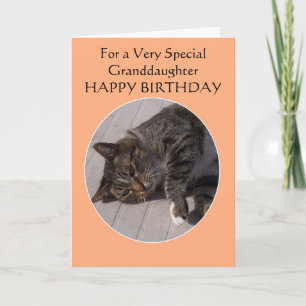 Tabby katt Personlig Granddotters födelsedag Kort