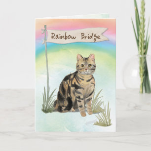 Tabby katt Pet Sympathy over Rainbow Bridge Kort