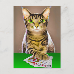 Tabby katt Poker Vykort