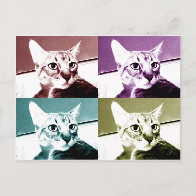 Tabby katt - Pop Art Vykort (Framsida)