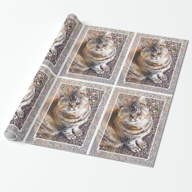TABBY KATT PRESENTPAPPER (Utrullad)