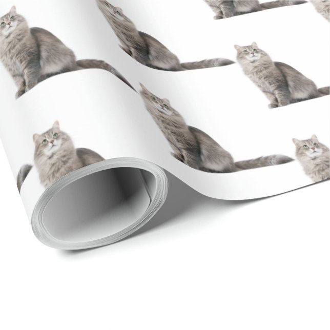 tabby katt presentpapper (Rullad Hörn)