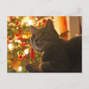 Tabby katt PurrFect-Julhelg Helg Vykort