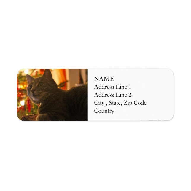 Tabby katt PurrFect-Julhelg Returadress Etikett (Framsidan)