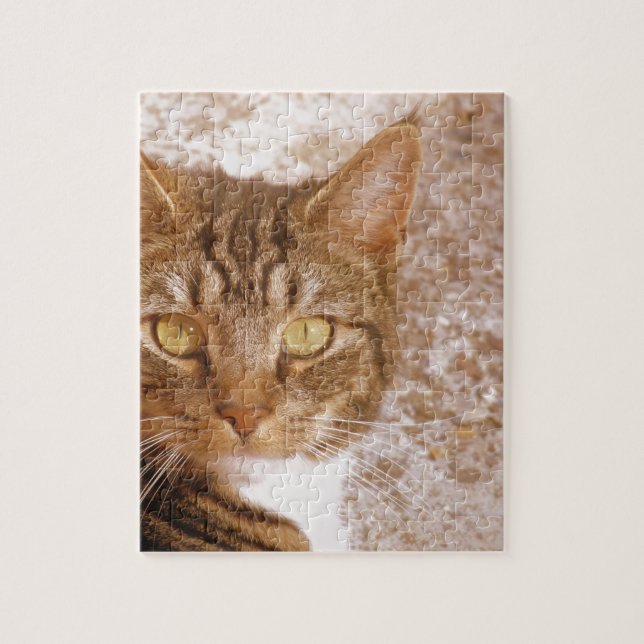 Tabby katt pussel (Vertikal)