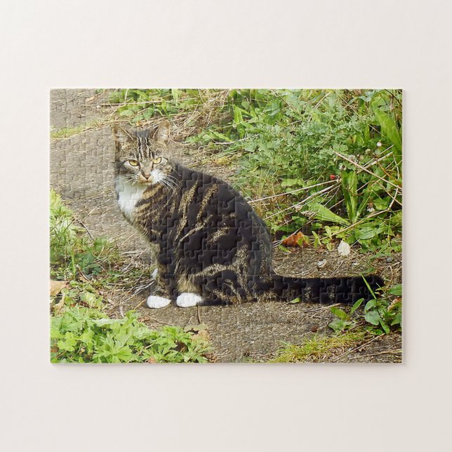 Tabby katt Puzzle Pussel (Horisontell)