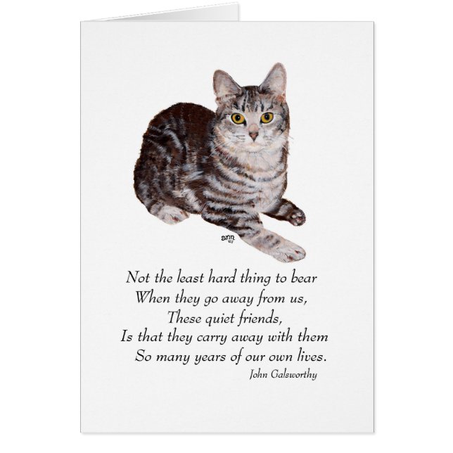 Tabby katt Rainbow Bridge Hälsningskort (Framsidan)