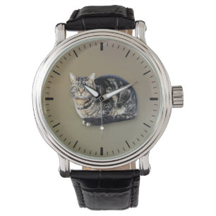 Tabby katt Sitta Armbandsur