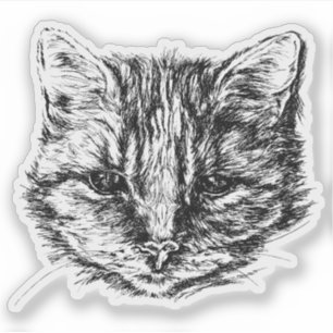 Tabby katt Sketch Klistermärken