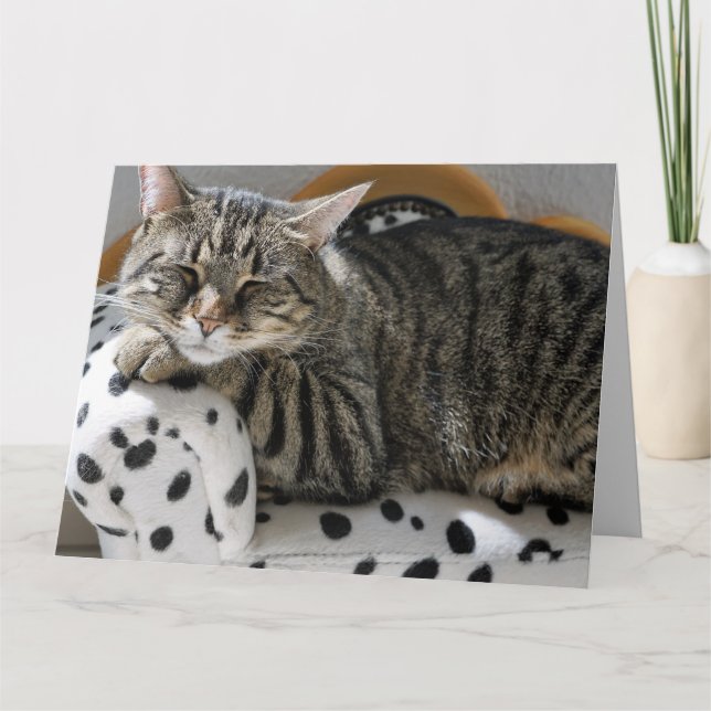 TABBY KATT SLEEPING BIRTHDAY GREETING CARD KORT (Framsida)