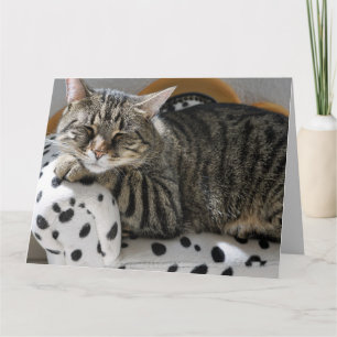 TABBY KATT SLEEPING BIRTHDAY GREETING CARD KORT